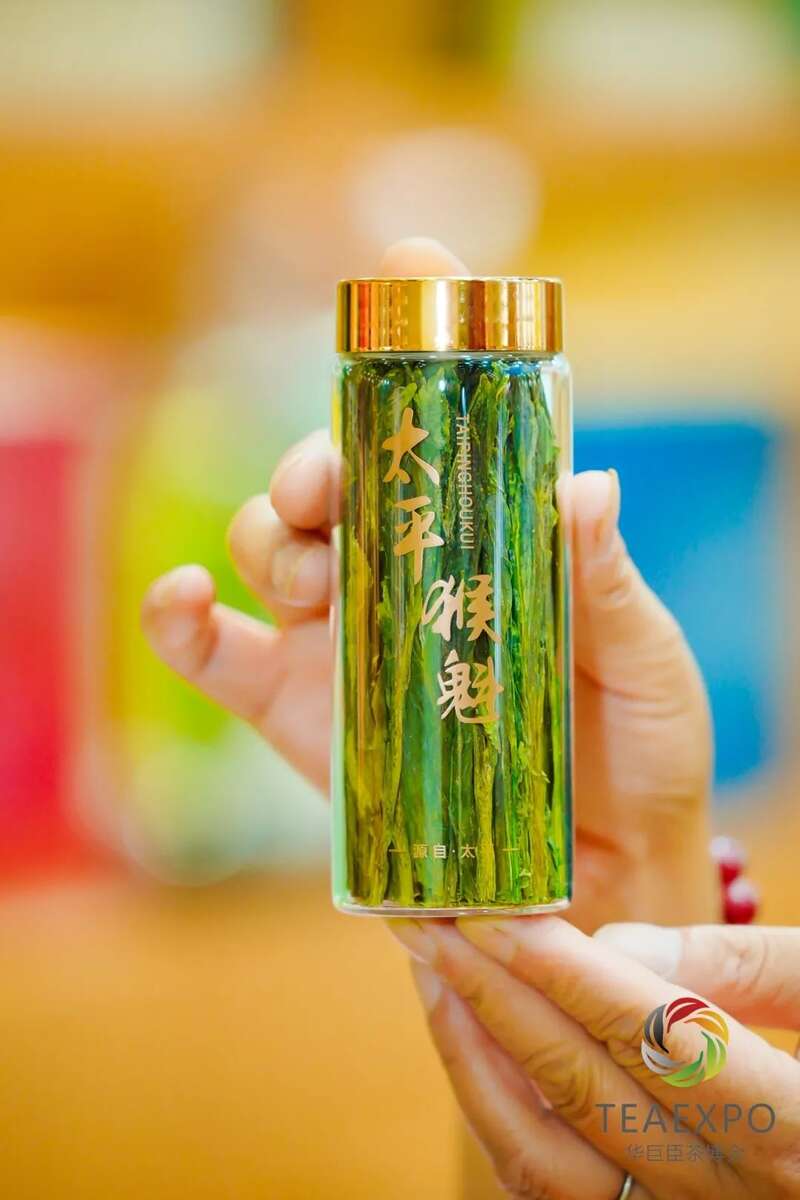 火力全开！2025郑州茶产业博览会盛大开幕！