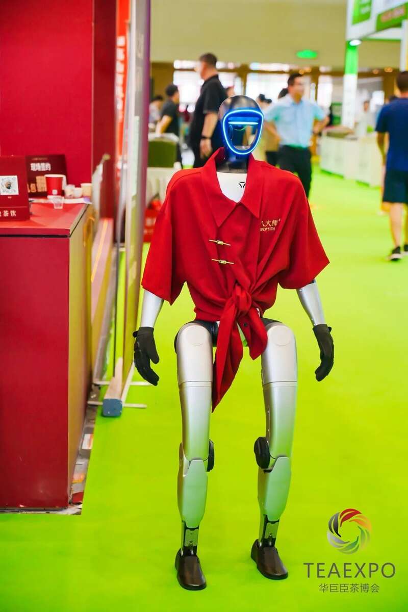 火力全开！2025郑州茶产业博览会盛大开幕！