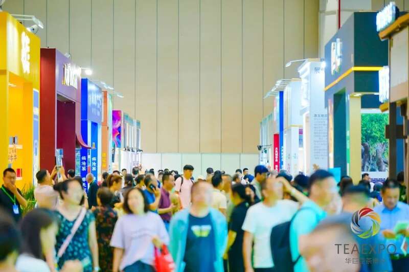 火力全开！2025郑州茶产业博览会盛大开幕！