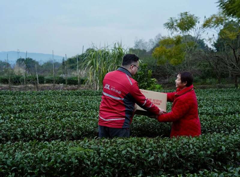 349.91万吨！2024年中国茶叶生产与内销形势如何？