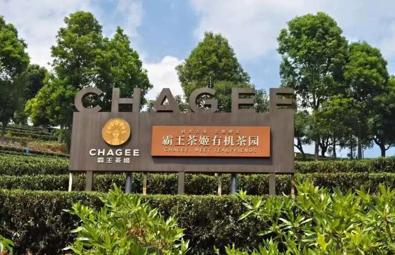 院士团队说新式茶饮产业技术发展现状与创新研究趋势