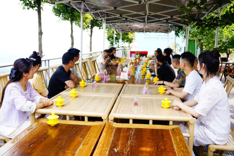 非遗正青春！蒙顶黄芽传承实践交流会今日举办