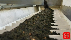 乐山沐川：一朵栀子花的“全产业链”蜕变