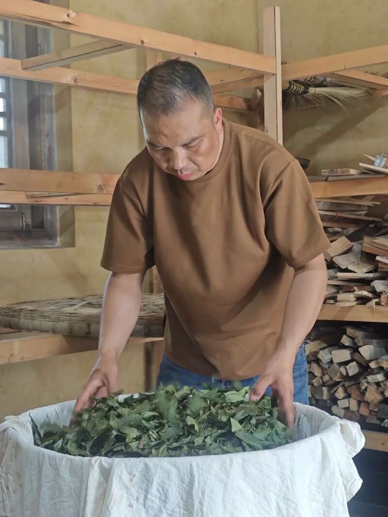 探索创新：名山茶人在行动