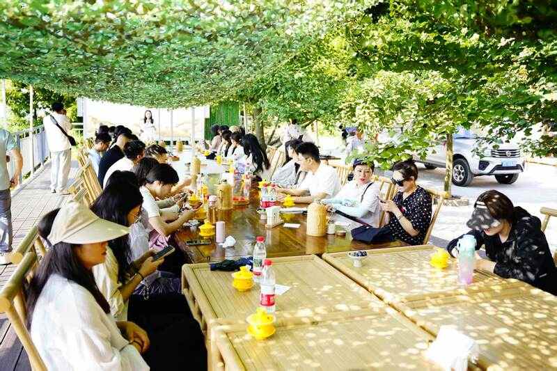 蒙顶山茶香对话泸州老窖匠心：一场穿越千年的非遗共鸣