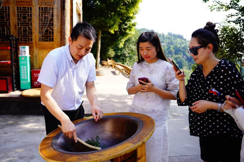 蒙顶山茶香对话泸州老窖匠心：一场穿越千年的非遗共鸣
