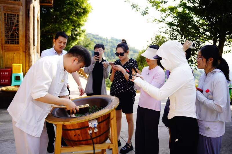 蒙顶山茶香对话泸州老窖匠心：一场穿越千年的非遗共鸣