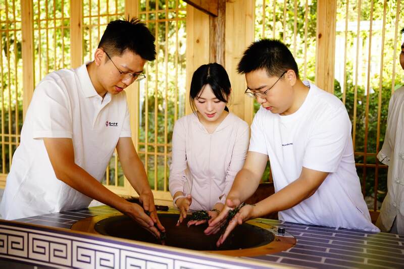 蒙顶山茶香对话泸州老窖匠心：一场穿越千年的非遗共鸣