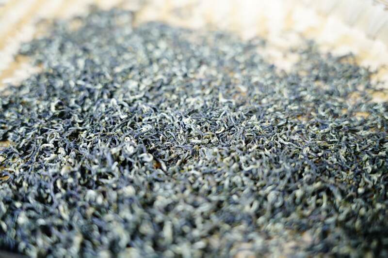 蒙顶山茶香对话泸州老窖匠心：一场穿越千年的非遗共鸣