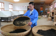 精制茶制造被工信部等七部门联合印发方案提及，其未来将如何发展？