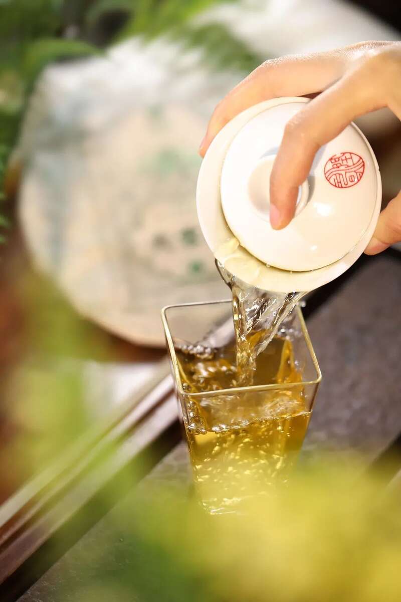 润元昌名山早春系列：好东西，总是姗姗而来