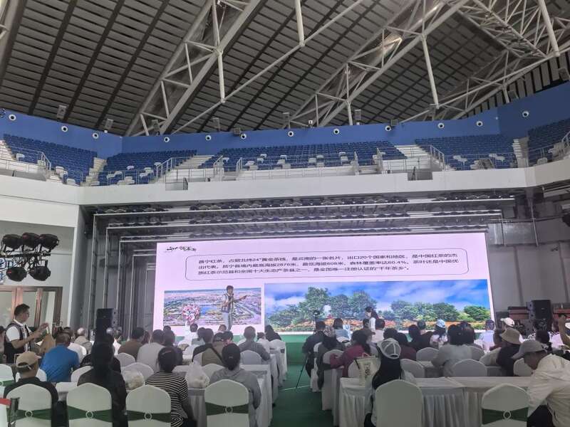 昌宁红茶亮相哈尔滨茶博会 北疆市场启新篇