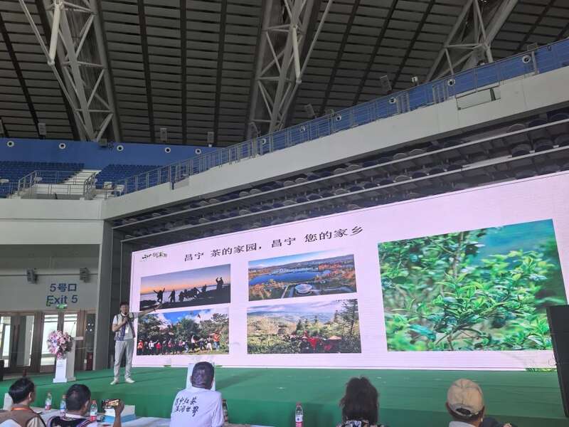 昌宁红茶亮相哈尔滨茶博会 北疆市场启新篇