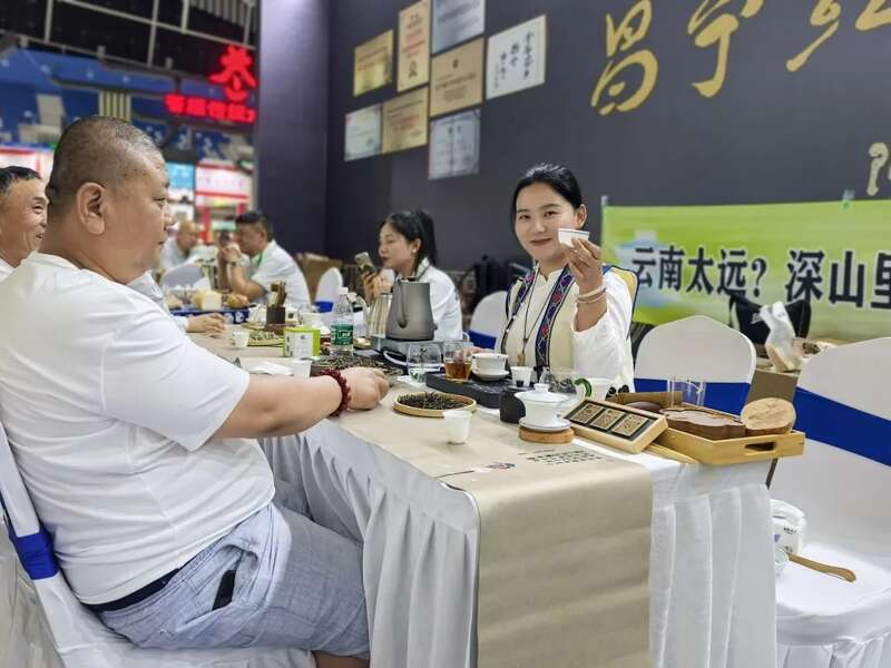 昌宁红茶亮相哈尔滨茶博会 北疆市场启新篇