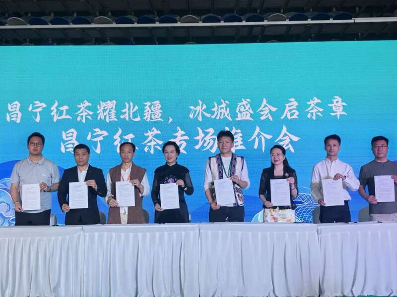 昌宁红茶亮相哈尔滨茶博会 北疆市场启新篇