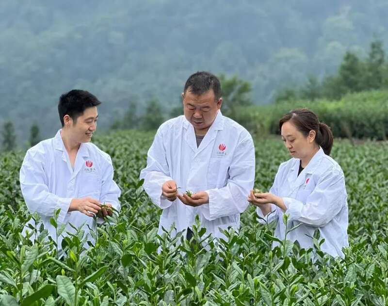 四川省工匠练学燕——以感恩之心守茶香 以传承创新铸匠心