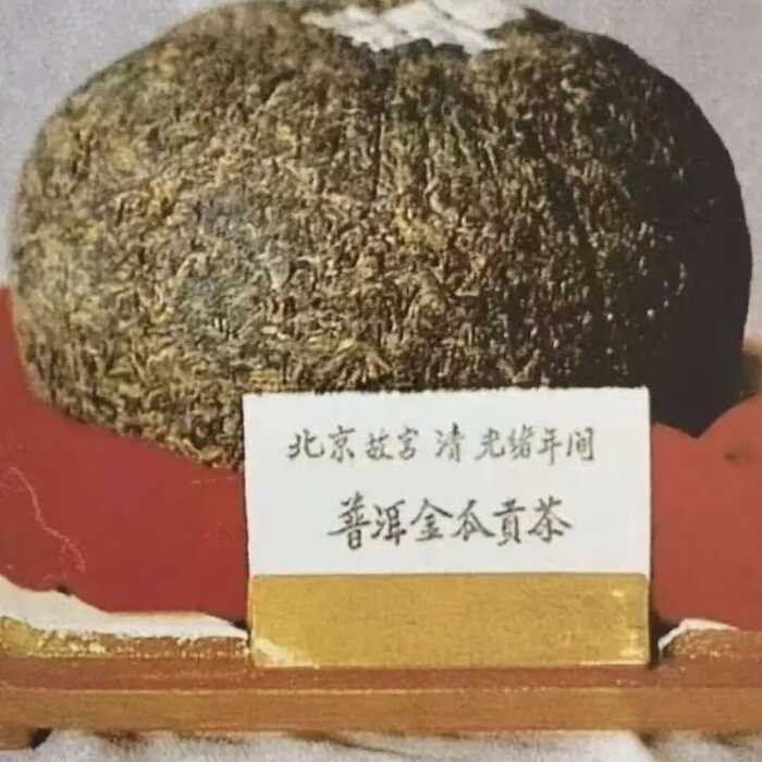 普洱茶的活化石?万寿龙团百年见证。