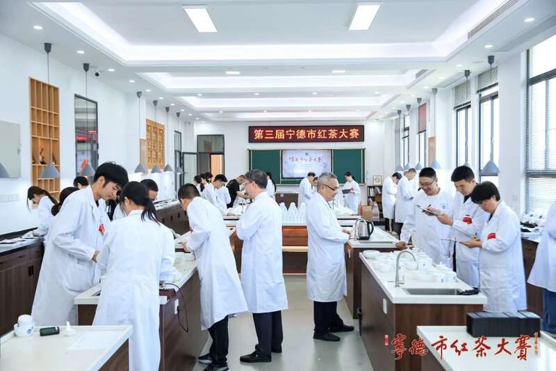 在红茶主产区，赛出红茶行业新高度