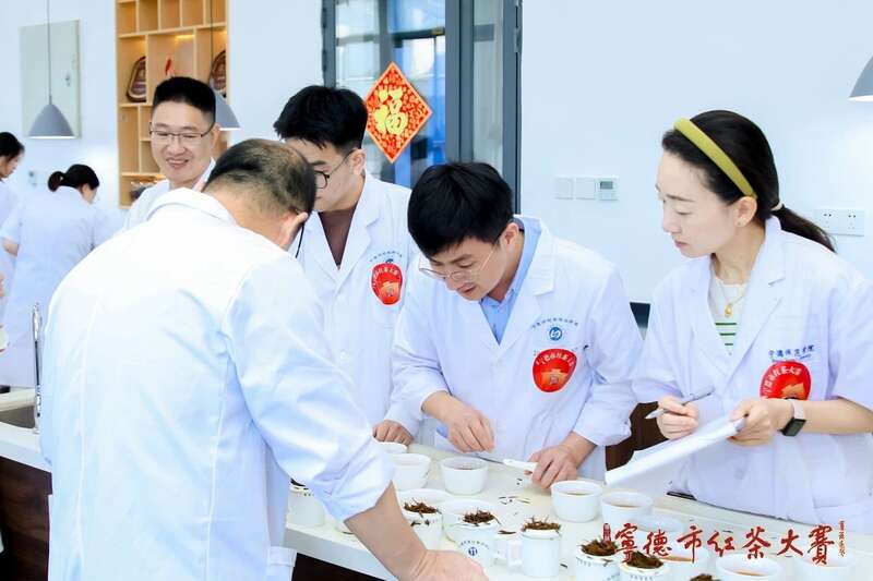 在红茶主产区，赛出红茶行业新高度