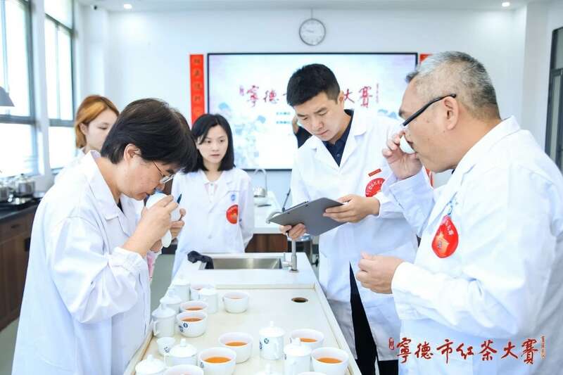 在红茶主产区，赛出红茶行业新高度