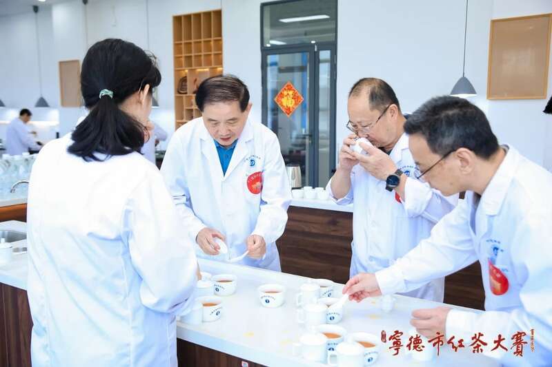 在红茶主产区，赛出红茶行业新高度