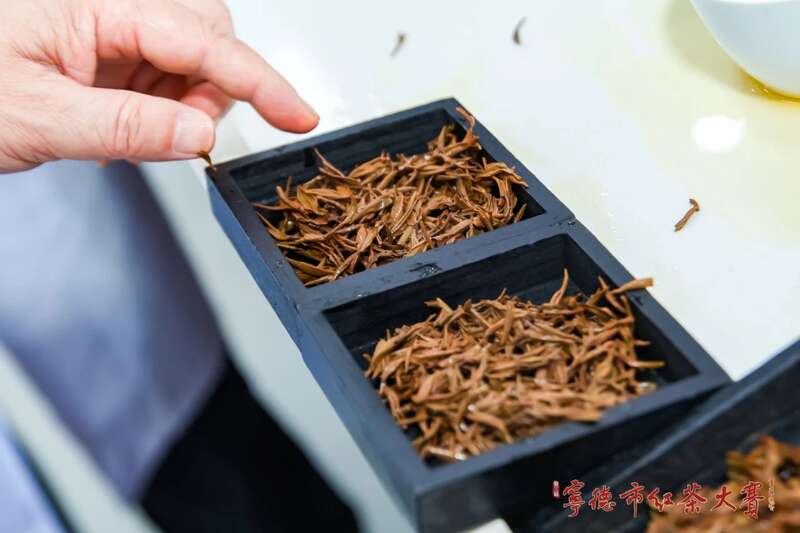 在红茶主产区，赛出红茶行业新高度