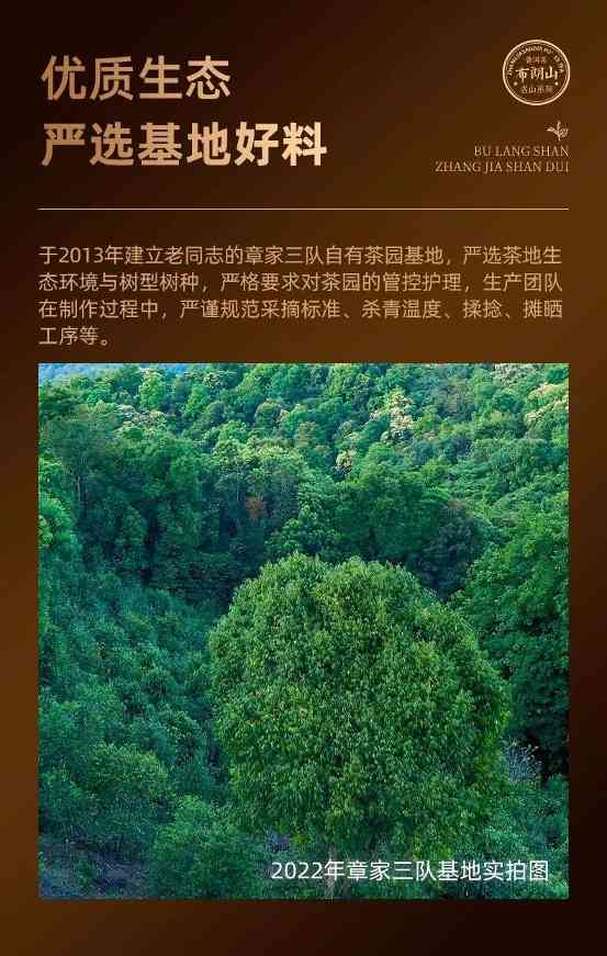 稀罕的“小班章”熟茶，寻味进阶之选