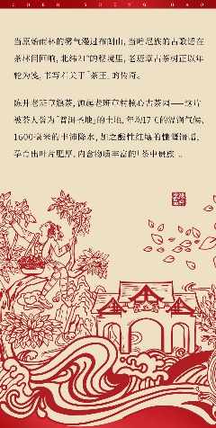 茶王厚韵·旷世奇珍 陈升号2025年“陈升老班章熟茶”面市