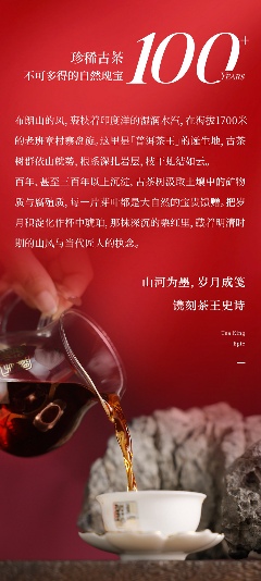 茶王厚韵·旷世奇珍 陈升号2025年“陈升老班章熟茶”面市