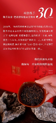 茶王厚韵·旷世奇珍 陈升号2025年“陈升老班章熟茶”面市