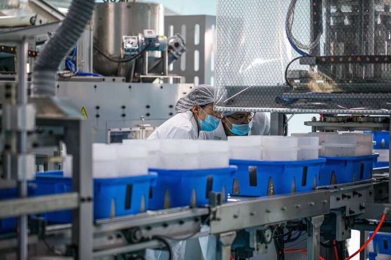 国家级重点培育名单公布！云南普洱茶、小粒咖啡等在列