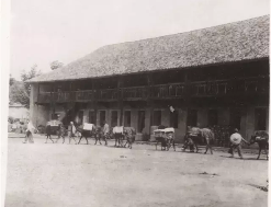 国家级重点培育名单公布！云南普洱茶、小粒咖啡等在列