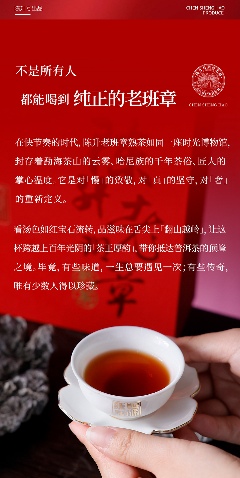 茶王厚韵·旷世奇珍 陈升号2025年“陈升老班章熟茶”面市