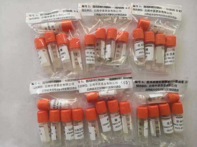 国家级重点培育名单公布！云南普洱茶、小粒咖啡等在列