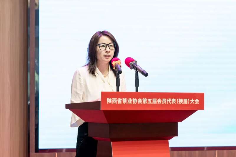 茶业传承 聚力前行：陕西省茶业协会完成换届 ，擘画发展新篇章（咸阳召开）