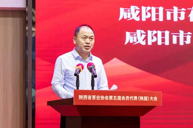 茶业传承 聚力前行：陕西省茶业协会完成换届 ，擘画发展新篇章（咸阳召开）