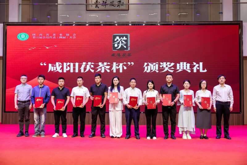 茶业传承 聚力前行：陕西省茶业协会完成换届 ，擘画发展新篇章（咸阳召开）