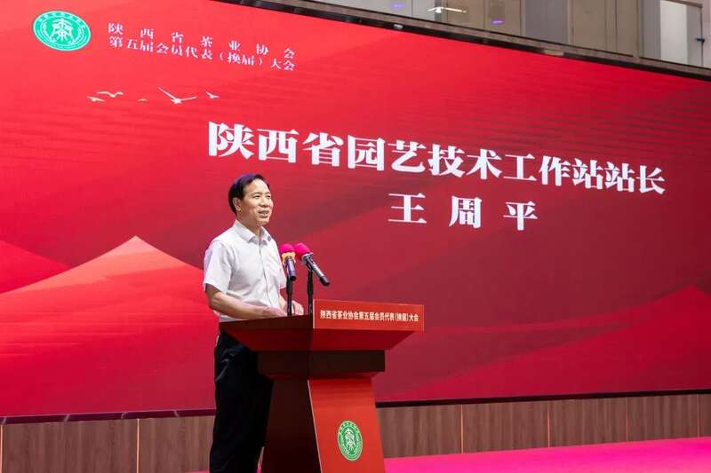 茶业传承 聚力前行：陕西省茶业协会完成换届 ，擘画发展新篇章（咸阳召开）