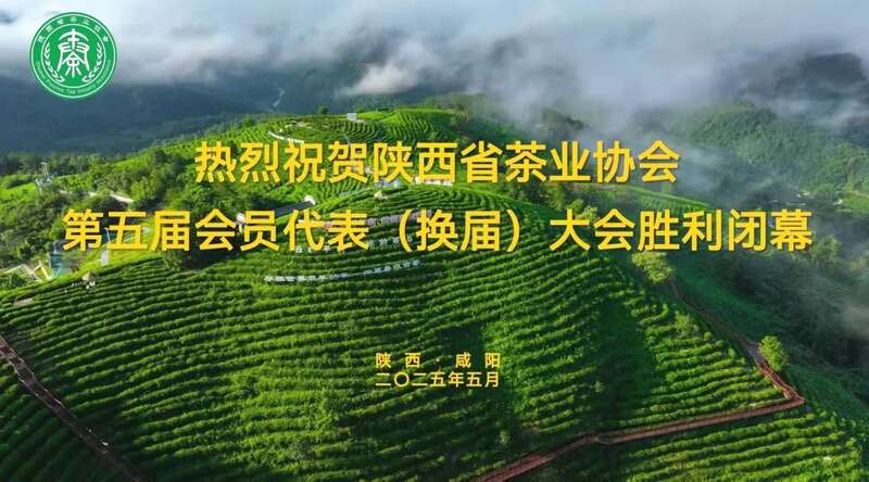茶业传承 聚力前行：陕西省茶业协会完成换届 ，擘画发展新篇章（咸阳召开）