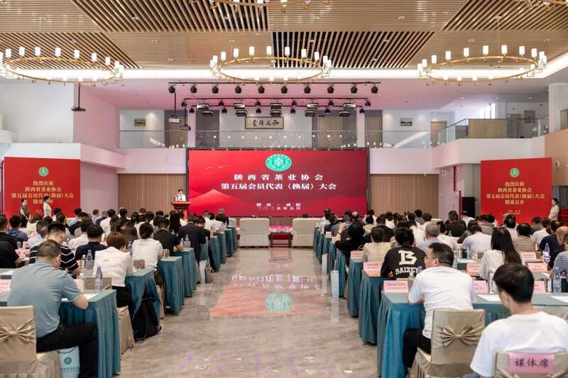 茶业传承 聚力前行：陕西省茶业协会完成换届 ，擘画发展新篇章（咸阳召开）