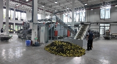 35元→5元！栀子花不再“天价”，产业链却更“香”