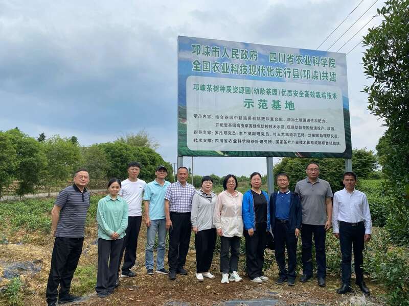 国家茶叶产业技术体系岗位专家一行莅临邛崃调研