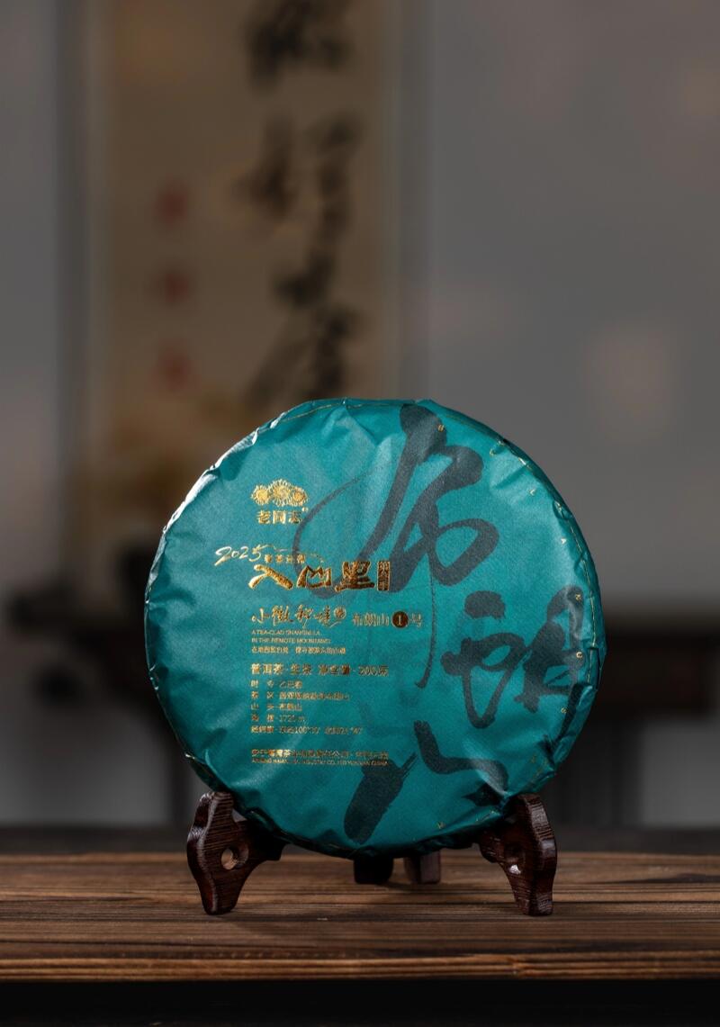 老同志入山里-布朗山1号