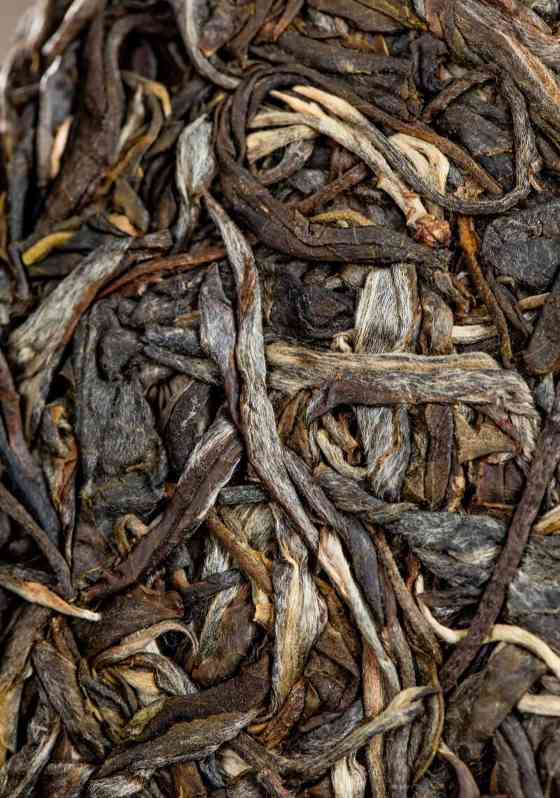 老同志入山里-布朗山1号