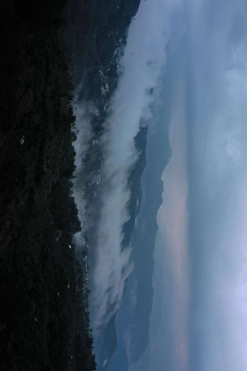 老同志入山里- “岩韵”普洱的硬核诠释