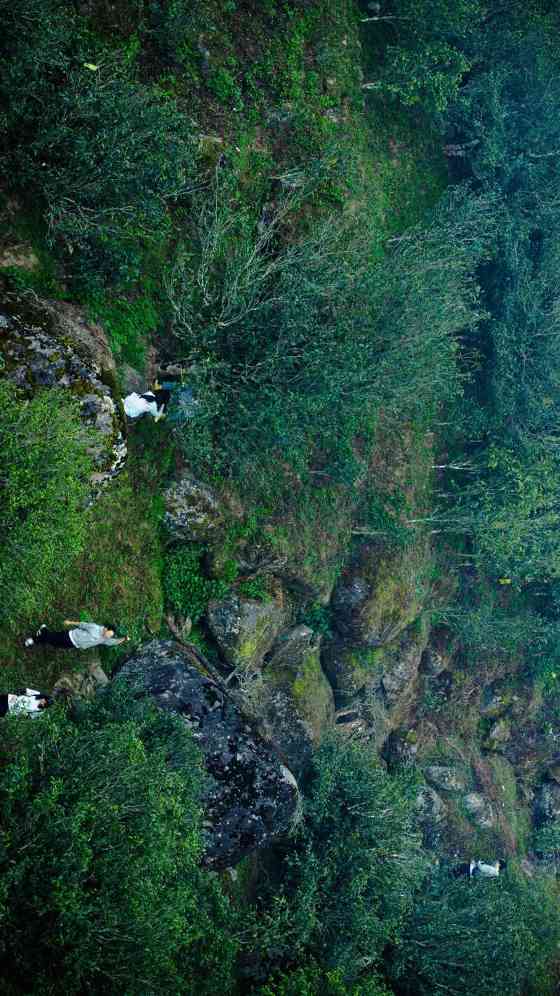老同志入山里- “岩韵”普洱的硬核诠释