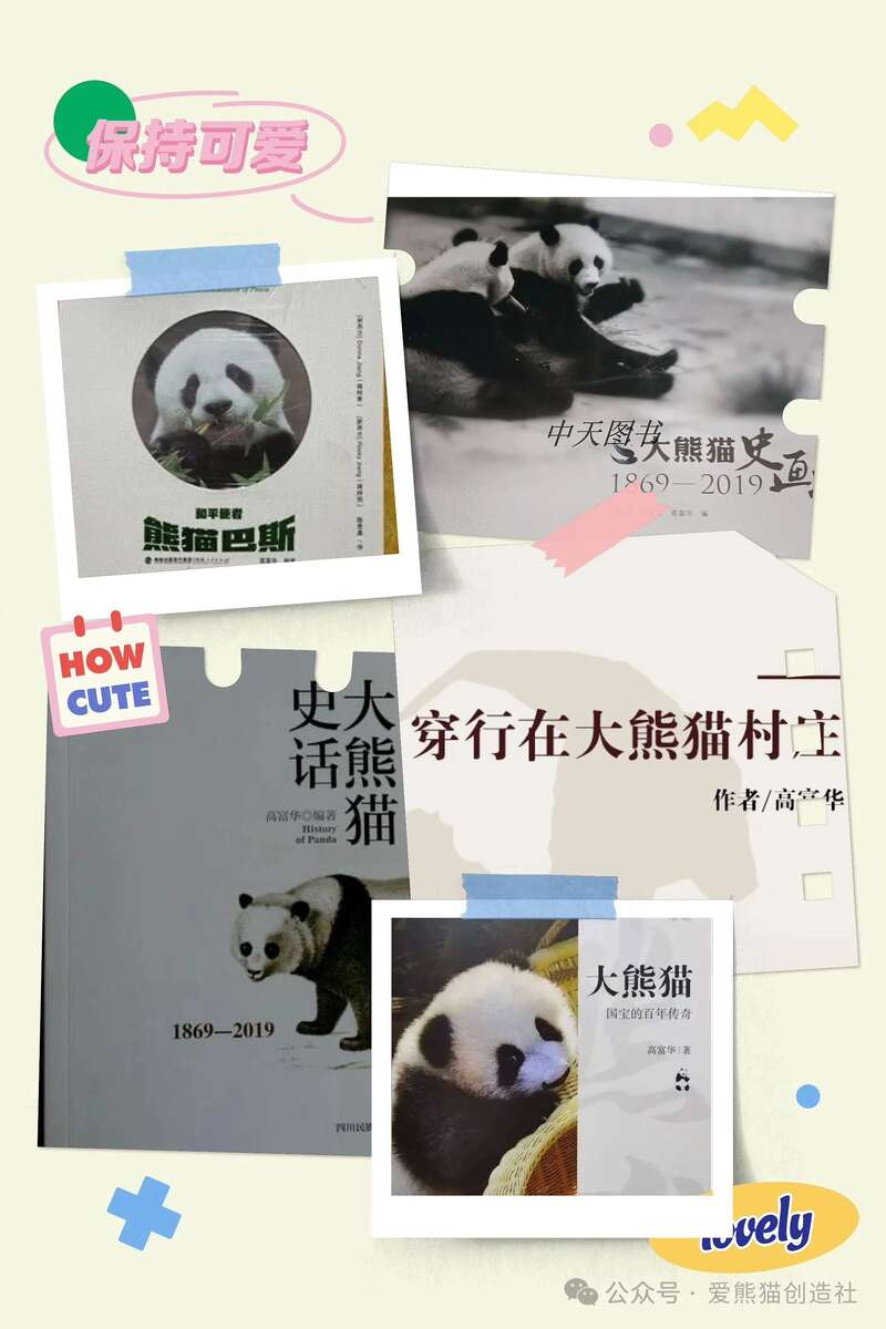 爱熊猫创造社：这一次，“熊猫记者”高富华带你寻找茶马古道上的“茶叶印记”！