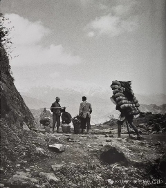 爱熊猫创造社：这一次，“熊猫记者”高富华带你寻找茶马古道上的“茶叶印记”！