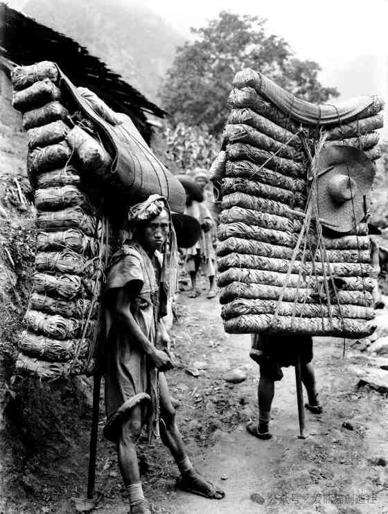 爱熊猫创造社：这一次，“熊猫记者”高富华带你寻找茶马古道上的“茶叶印记”！