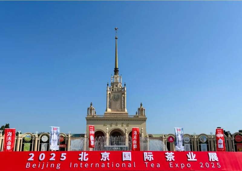 2025北京国际茶业展 下关沱茶展示传统与快消交融的双生之境